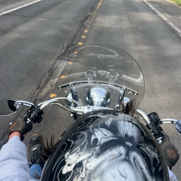 🦩🦩🦩🦩🦩 join the flock tag list - Picture 8 of 15